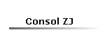 Consol ZJ