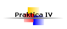 Praktica IV