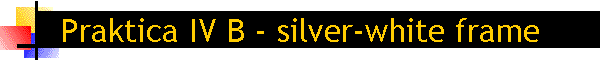 Praktica IV B - silver-white frame