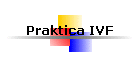 Praktica IVF