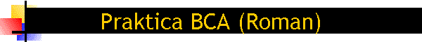 Praktica BCA (Roman)