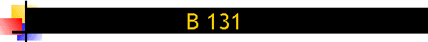 B 131